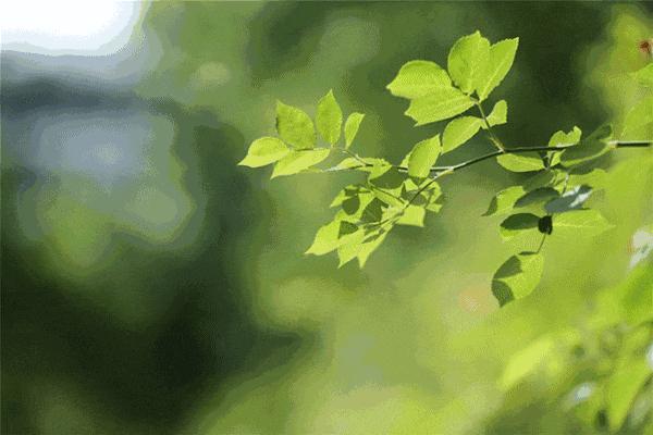 气血不通人会变“丑” 气血不畅毁“颜值”