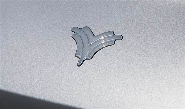 张雪称logo是找淘宝600块做的