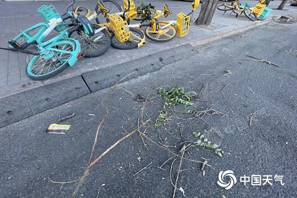 阵风六七级！北京明天白天晴间多云，最高气温24℃