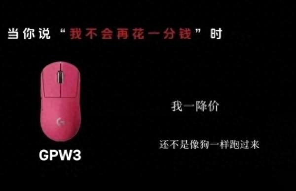 罗技中国区营收喜人 曾侮辱顾客是狗