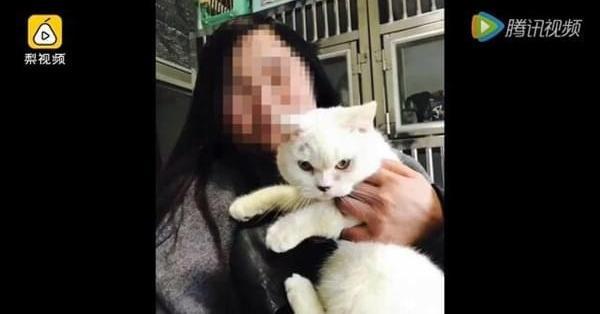 捅死男友女子父母多次给男方父母道歉下跪