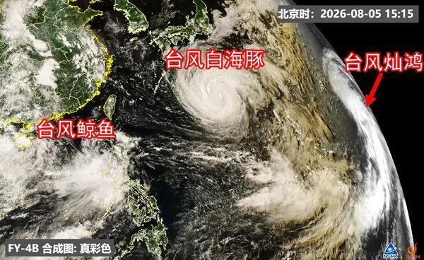白海豚环流变大近似13个浙江面积 路径不确定性引关注
