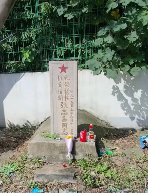 网友称一烈士墓被围墙压住?官方回应