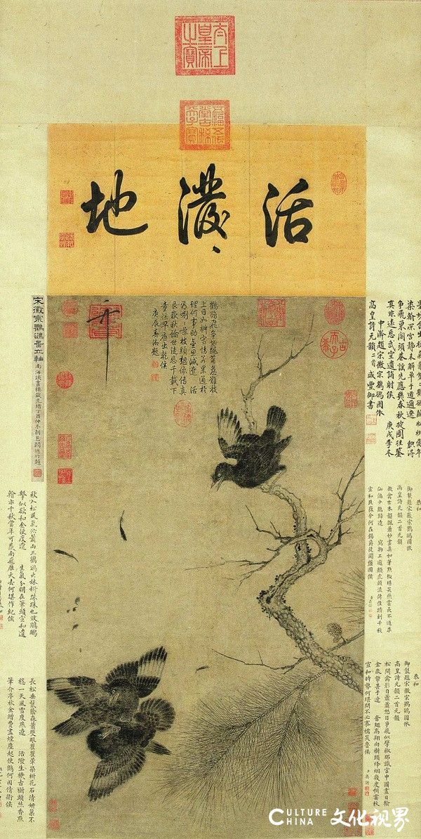 20251217134940350804.jpg 14.jpg