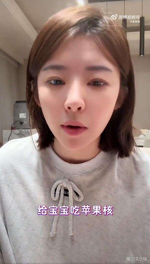 黄一鸣自曝男儿闪闪遭保姆惨酷 母亲的两难接管激发烧议