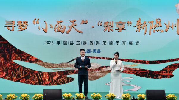 2025隰县玉露香梨采摘季盛大启幕
