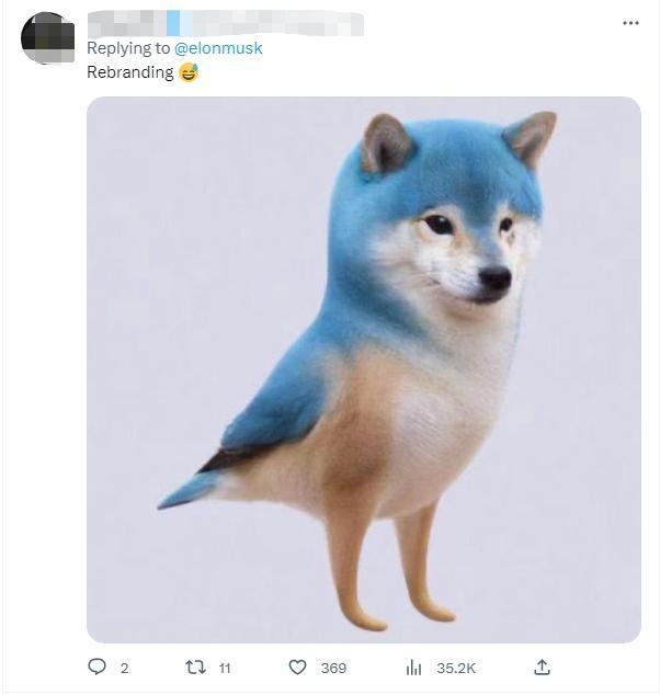 推特LOGO蓝鸟变成狗头，引得狗狗币又大涨 这就是花440亿美元要干的事？