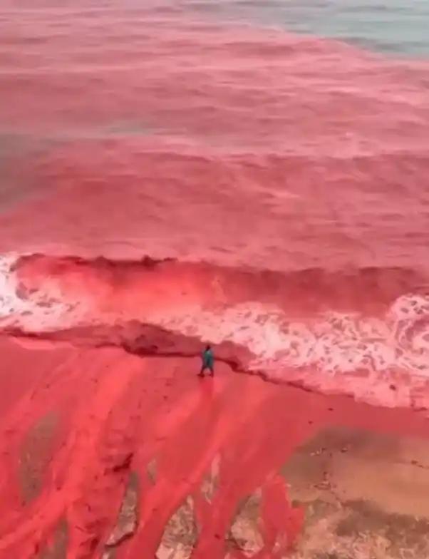 霍尔木兹岛海域现“血海”奇观:暴雨造就罕见景观