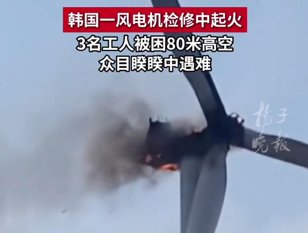 韩3名工人被困高空众目睽睽中遇难 外包工悲剧引发关注