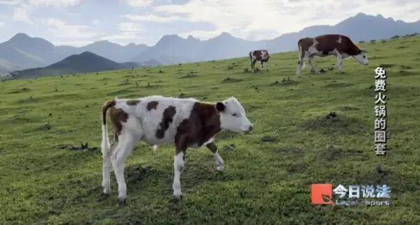 惊雷不断！无数人倾家荡产！