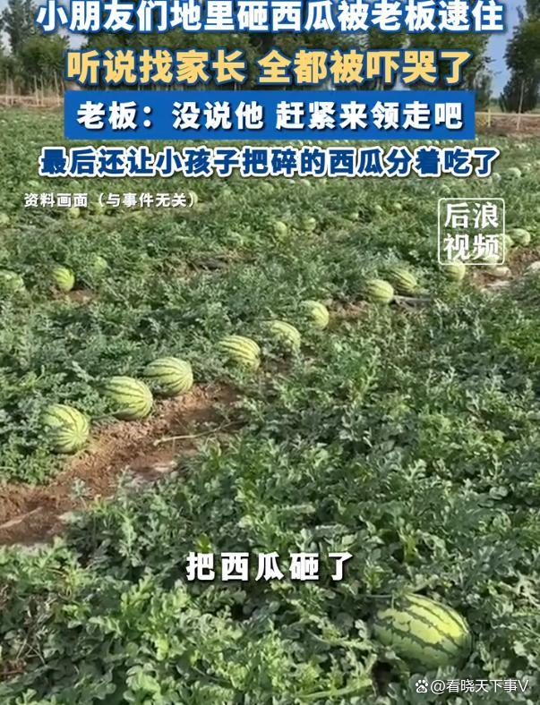小朋友地里砸西瓜被老板逮住 一听找家长就被吓哭了