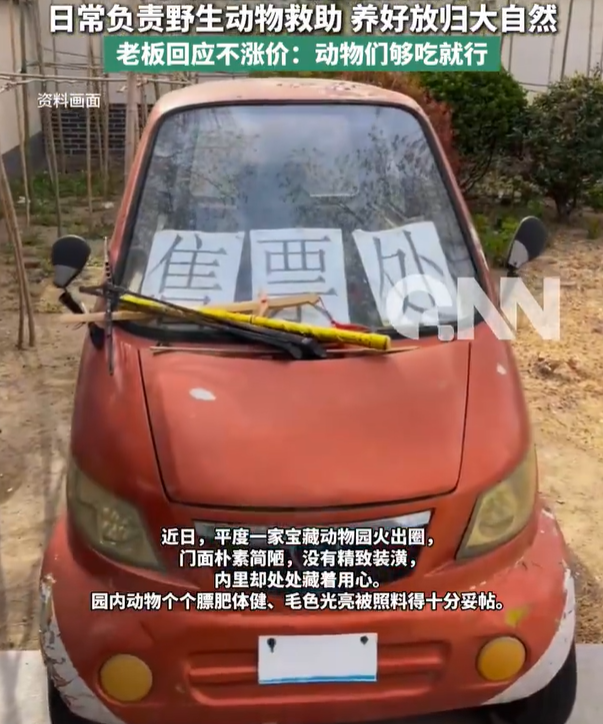 青岛某动物园因简陋意外走红 朴素外表下的用心照料