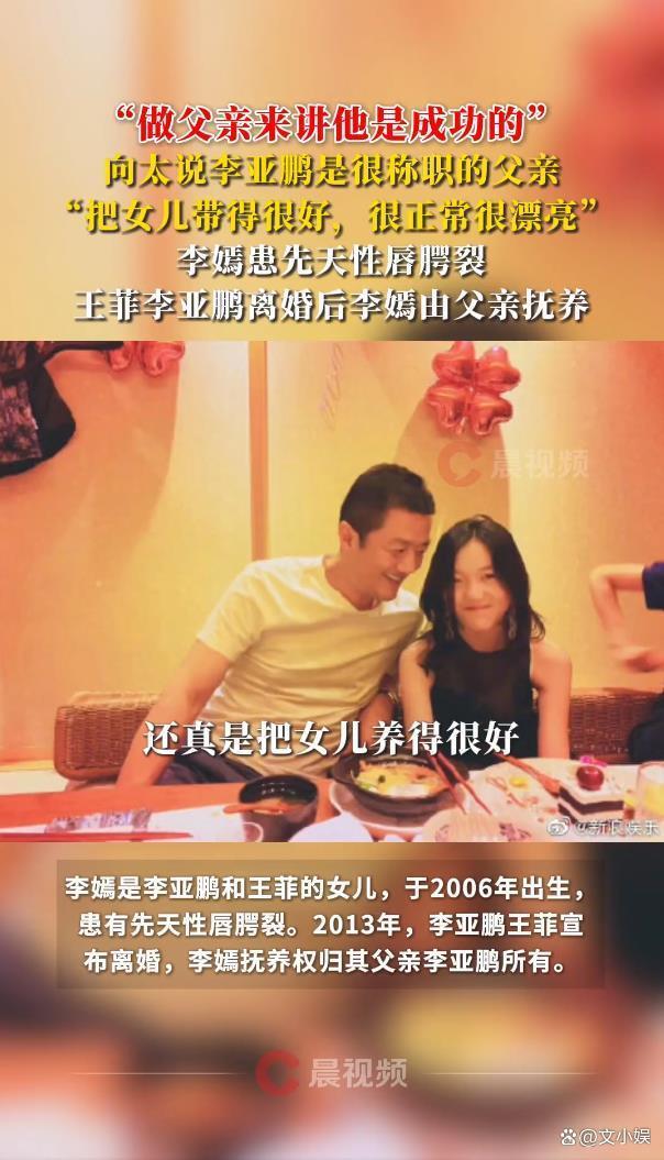 向太说李亚鹏是很称职的父亲：把女儿带得很好