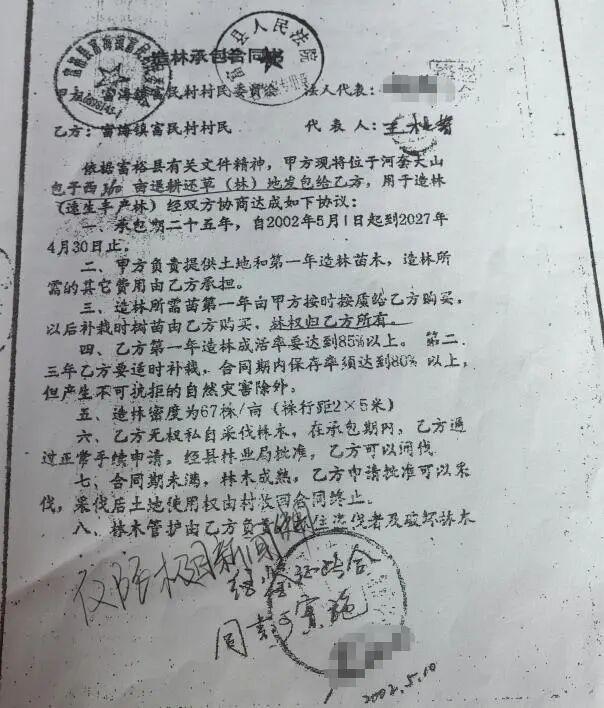 官方回应农户300亩杨树被禁止砍伐 护林二十余年终难获补偿