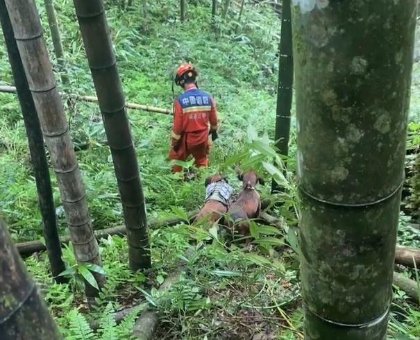 福建老人深山走失十天后獲救 生命奇跡再現(xiàn)
