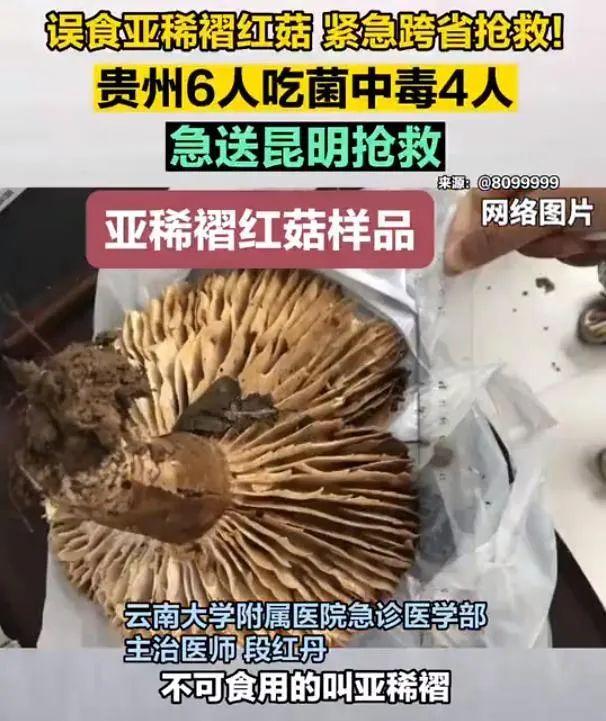 ▲图源:春城晚报 视频截图