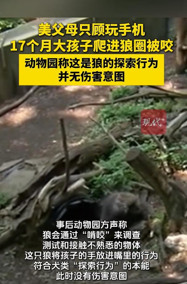 美国父母只顾玩手机 1岁多孩子被狼咬