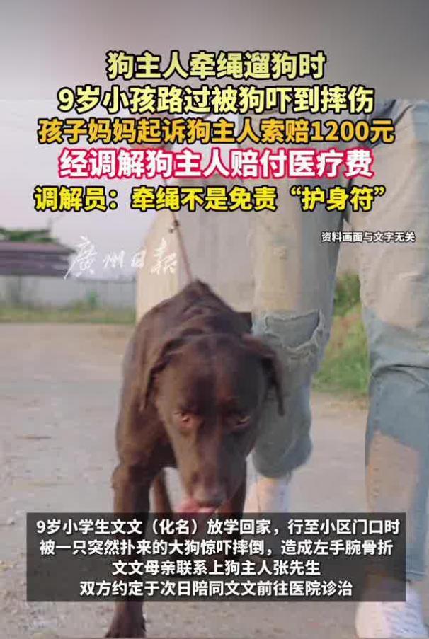狗主人牵绳遛狗时,9岁小孩路过被吓到摔伤骨折,家长起诉索赔1200元