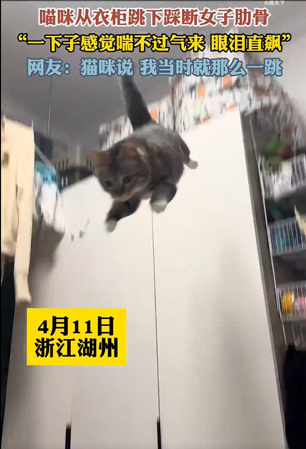 猫咪从高处跳下踩断女子肋骨