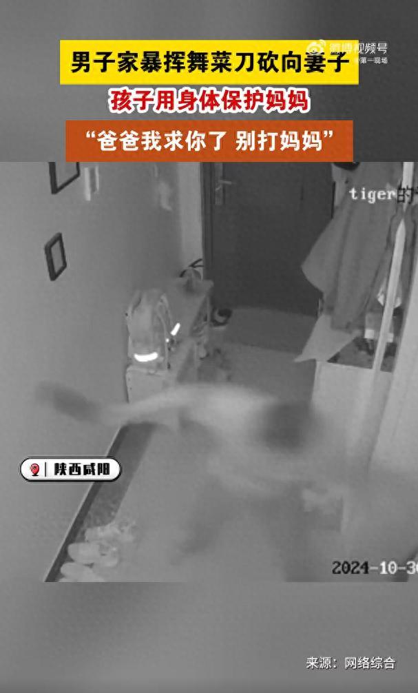 男子家暴挥刀砍妻 儿子挺身而出 母子受伤邻居报警