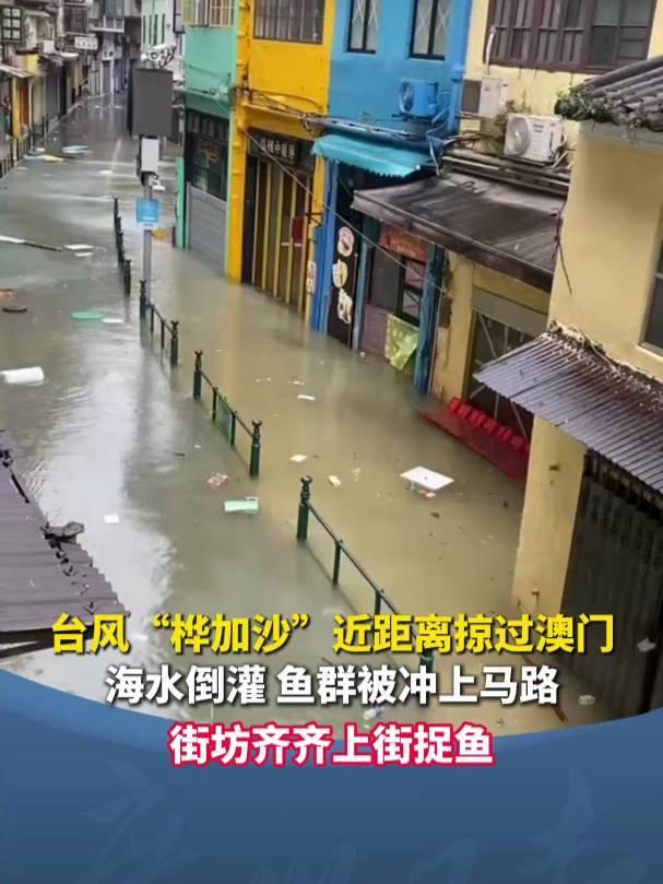 澳门海水已涌入