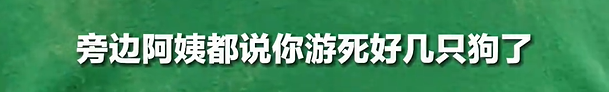 大爷不听劝阻强制狗游泳