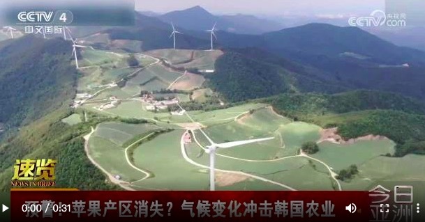 预警！韩国几十年后或将种不了苹果