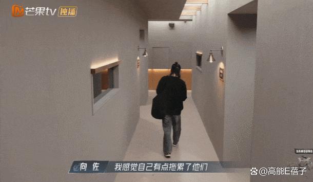 综艺现场打起来了？！向佐综艺名场面爆笑盘点 抓马不断笑料频出