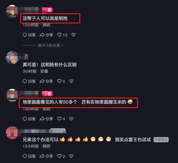 玉米种植户放烟花驱赶捡拾者 无奈之举引发争议