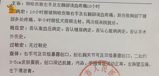 女子上班路上遭大狼狗扑咬血肉模糊 医药费赔偿引争议
