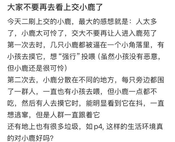 数百人涌入上海交大看小鹿 新顶流引关注