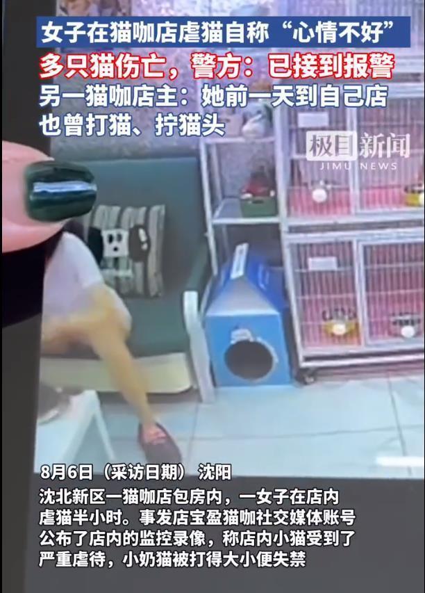 心情不好虐猫致死女子应付法律代价