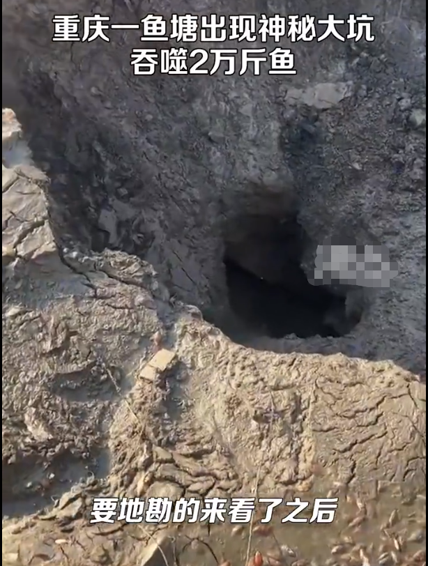 鱼塘突现深坑近2万斤观赏鱼一夜消失 这是地道挖到鱼塘了吗
