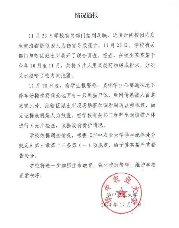 招聘单位回应考生确系虐猫当事人 考察阶段将深入调查