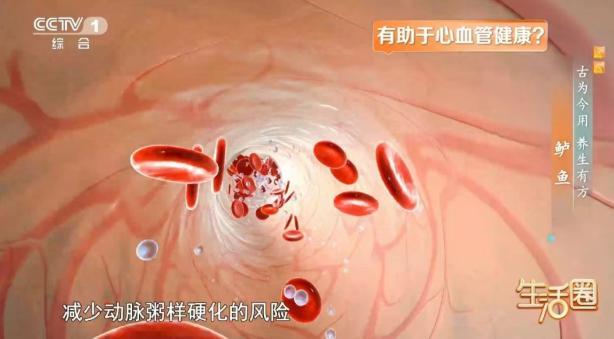 秋季吃鲈鱼有何好处 补身养心佳选