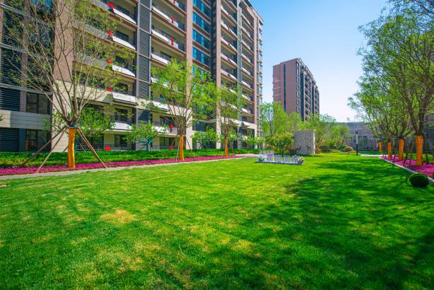 青岛绿地国科健康科技小镇喜迎首批业主归家