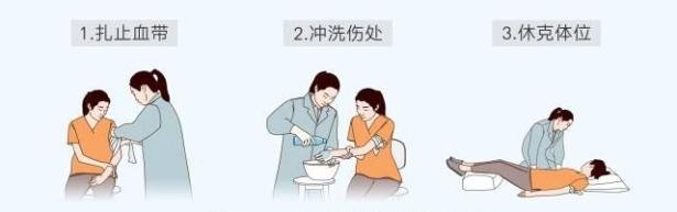 大蛇橫臥路中央 民警拿棍子驅(qū)趕 竹竿智斗解危情