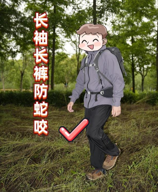 大蛇橫臥路中央 民警拿棍子驅(qū)趕 竹竿智斗解危情