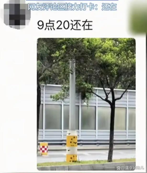 摘沈阳网红葫芦男子遭人肉波及酒店 私心引发网络热议