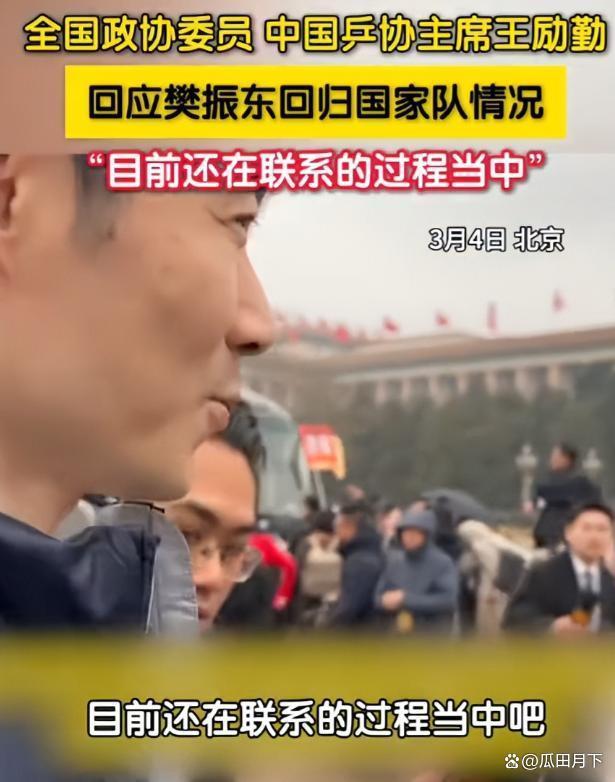 樊振东加盟德甲的故事 赛场征服记