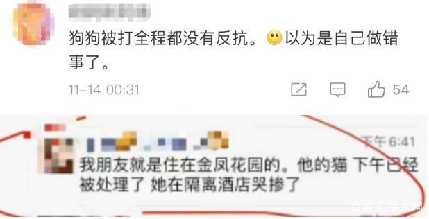 央视网评隔离宠物狗被扑杀：别拿别人的宠物当畜生