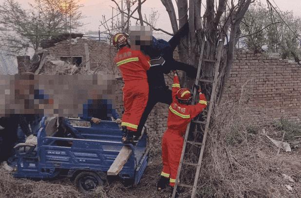 北京男子爬树摘香椿被卡 悬空倒挂7小时 消防紧急救援