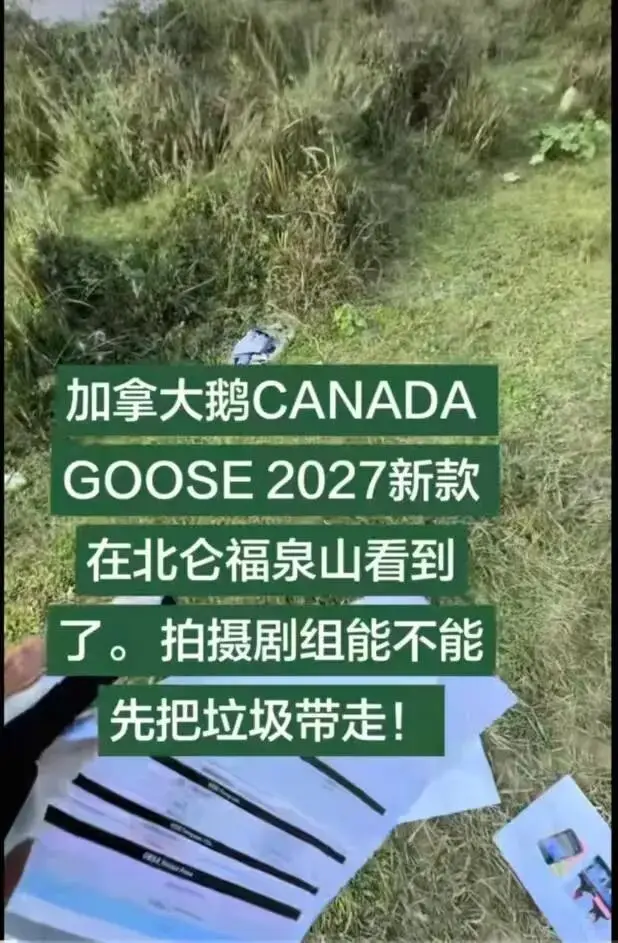 加拿大鹅道歉了
