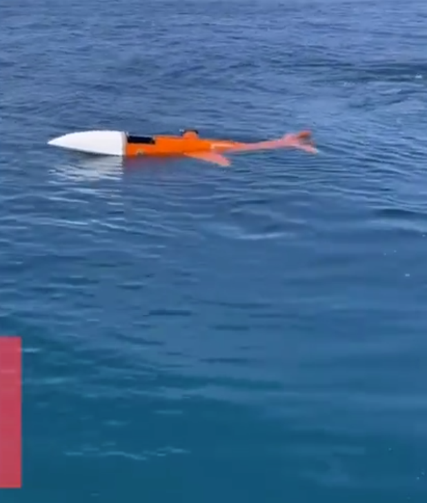 神奇啊！男子称海上钓鱼钓到“飞机”