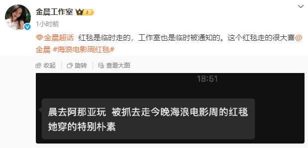 金晨走红毯穿着朴素的原因曝光:临时被抓去走红毯