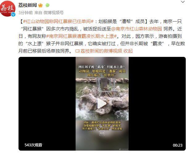 南京网红猴已单独饲养 早前被曝遭同伴欺负只能“水上漂”引关注