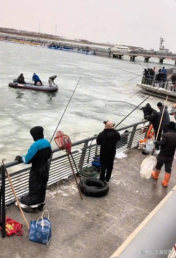 大连港口冻死大量梭鱼 寒潮引发生态警钟