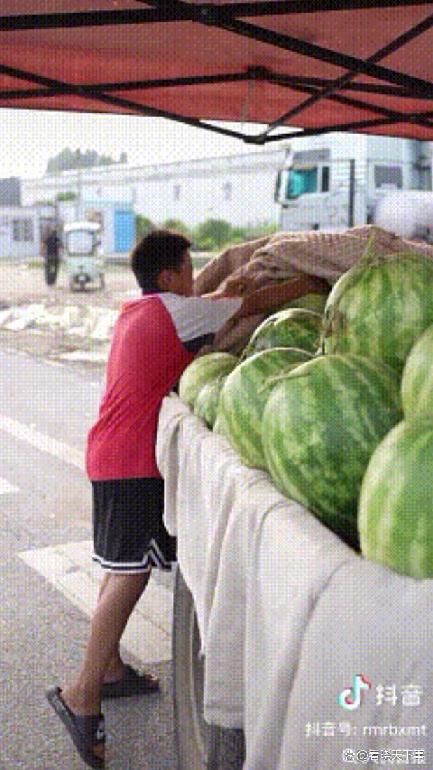 人民日报点赞13岁河南卖瓜男孩 小小年纪有担当