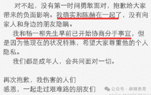 陈赫张子萱9年了现在看还是如此唏嘘啊