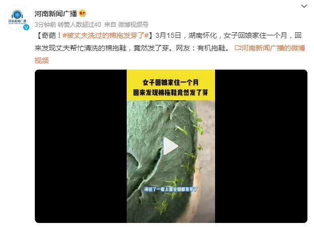被丈夫洗过的棉拖发芽了 网友：有机拖鞋